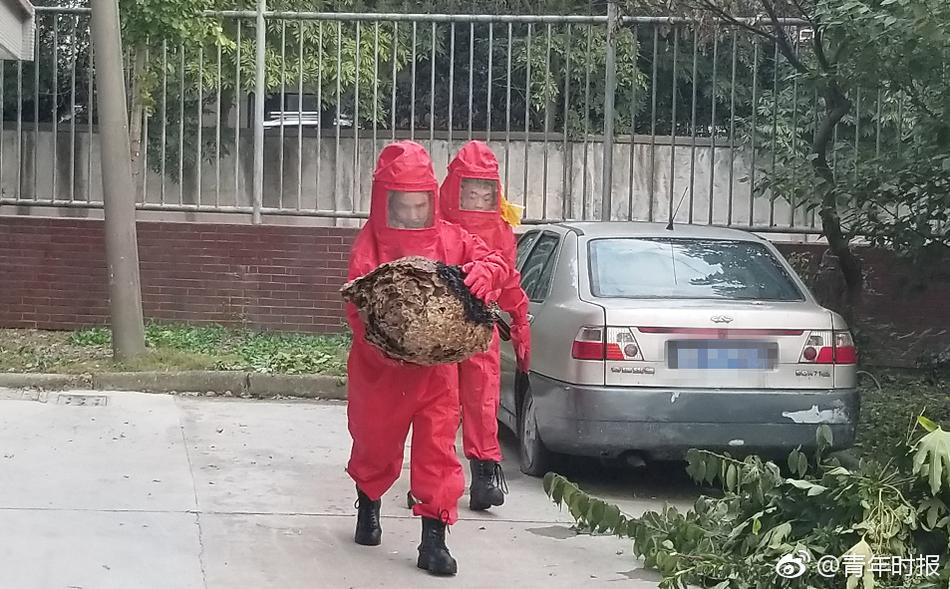 生猪：基本面‘维’持宽{松}，期现货价格反弹受限