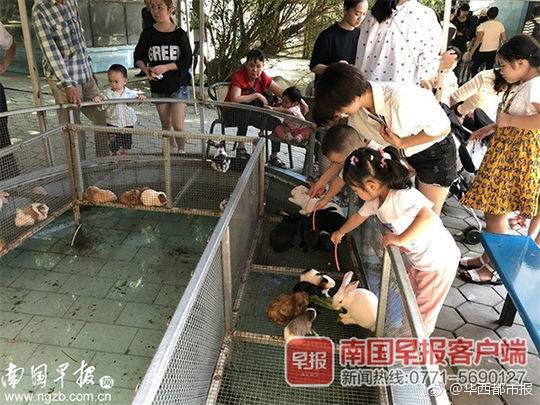 中金岭<南>：公司经营活动现金流入及现金净额实现明显增长核心驱动因素包括两方面