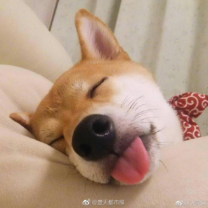 从<乡>镇小厂到千亿巨头，三花智控的下一站是机器人？