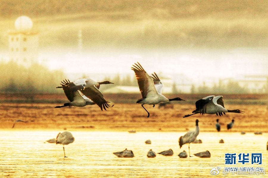 建行中高层人‘事’调整! 涉及总行多部门