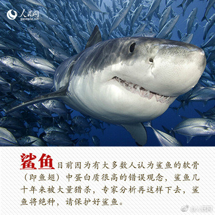 博拓生物：上<半>年归母:净利润1240.24万元，同比下降82.82%