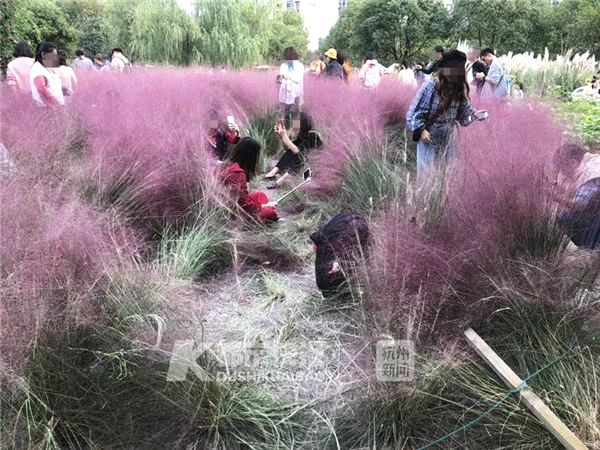 荣旗科<技>：截至2025年6月30日公司股东人数为8243户