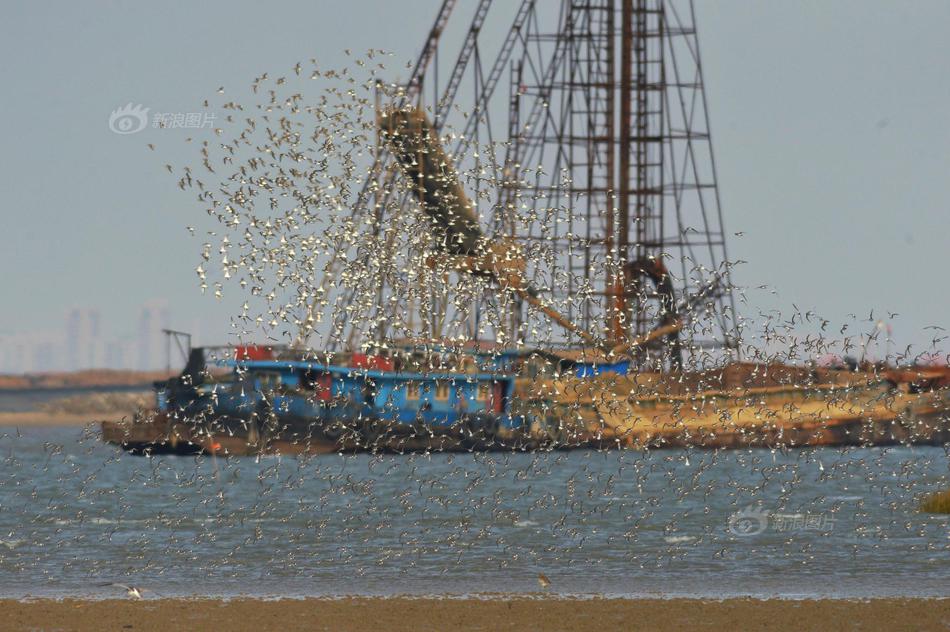 阿里割!肉回血，大量出售旗下资产，套现200亿走人