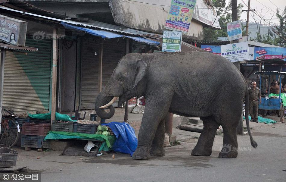 绿联:科技今年前三季度营收增长47.8% 多元创新领跑消费电子赛道