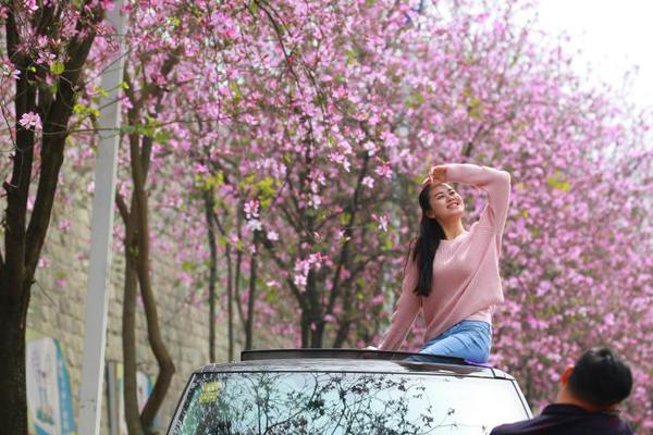 白银暴涨.，金价!铜价走强，黄金股etf(159562)持仓股白银有色、湖南白银双双涨停