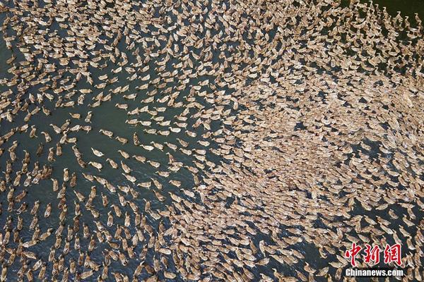 美国计{划}增加铀储备，铀矿股应声暴涨