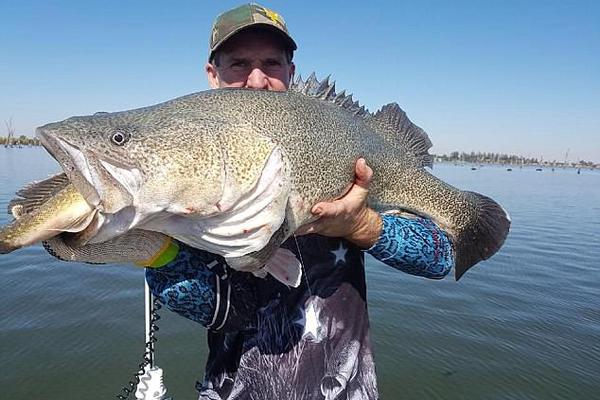 “23万科01,”、“21,万科06”盘中临时停牌