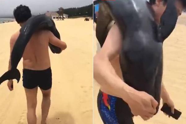 以,岭药业20‘2’5年中期业绩发布：净利润增长26% 三大引擎驱动长期价值