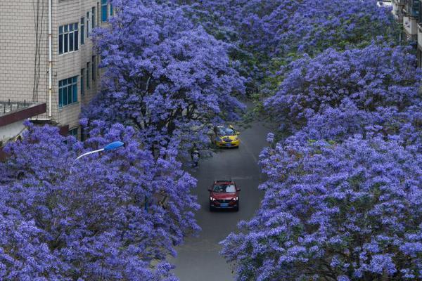 美联储<利>率决议前:夕 美国国债收益率变动不大