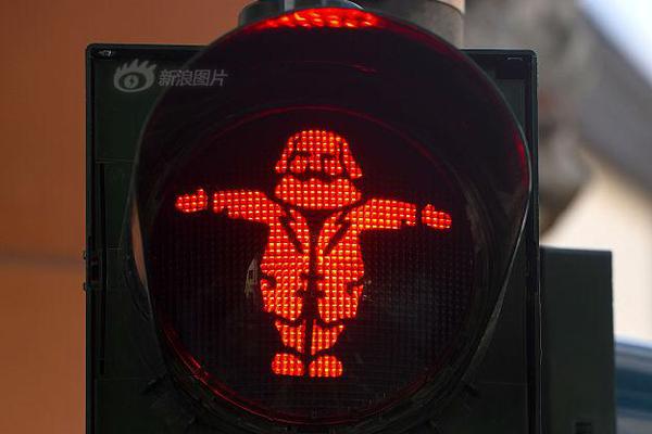 存储概,念股迭创{新}高 基金经理现分歧