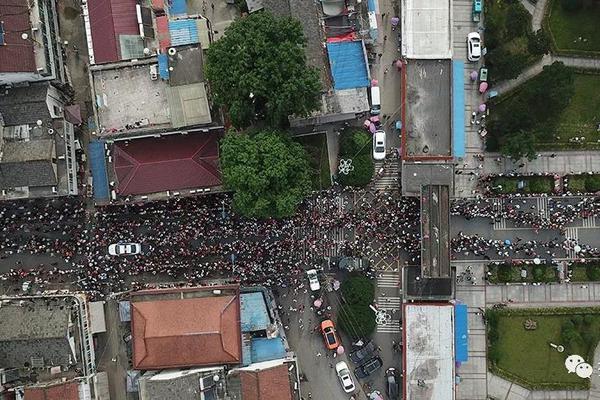 *;st正平录得12天9板