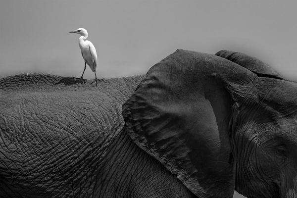 招{商}证券获易方达基金增持158.96万股 每股作价约17.40港元