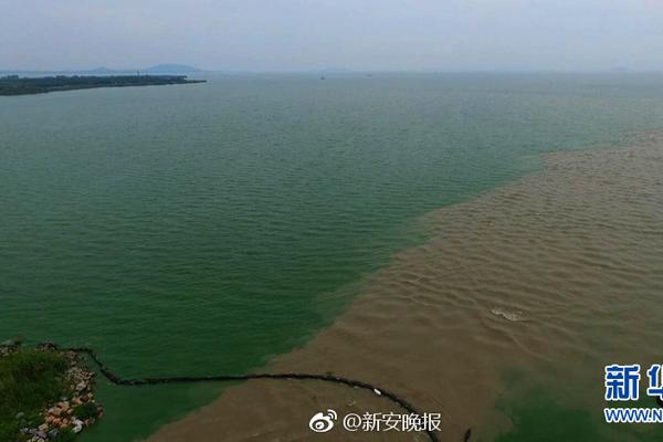 顾家98?亿、梦百合43亿、喜临门40亿……营收净利普遍双增，软体家居凭什么在寒冬里开出繁花？