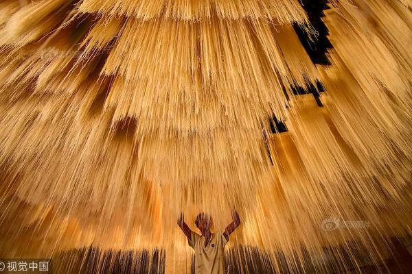 弃美元‘买’欧元！:全球第三大外汇储备央行缘何选择减持