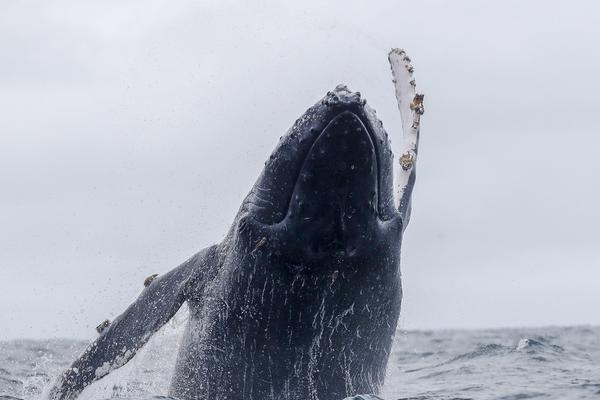 9月‘2’9日神通科技发布公告，股东减持665.64万股