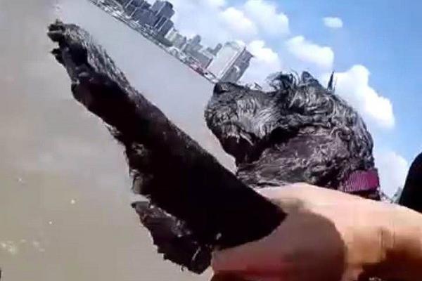 陆上—不含塔筒最低1254元/kw！本周1.3gw风机开标！【风电项目·周分析】