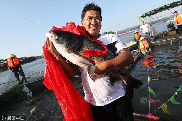 原创 辽港股!份：2025年半年度净利润约9.56亿元，同比增加110.78%