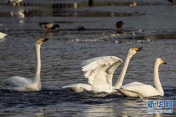 操盘‘必’读：‘影’响股市利好或利空消息_2025年10月16日_财经新闻