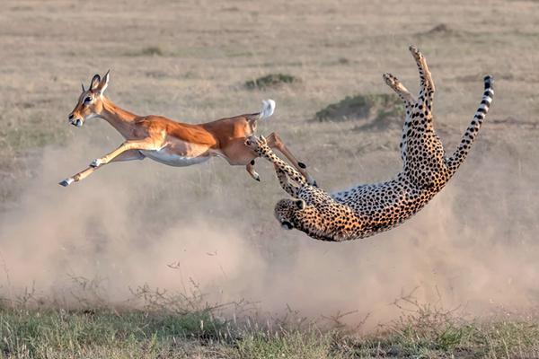 中<国>进出口银行副行长杨东宁会见乌兹别克斯坦投资、工业和贸易部副部长伊尔扎特·卡西莫夫