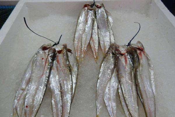 奇<瑞>星途瑶光 c-dm 寰球版车型官图发布：双色涂装，现款在售 15.99 万元起