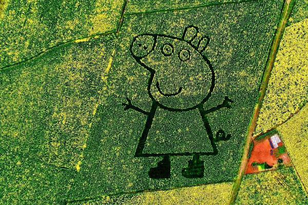 i!p—hone 17揭开神秘面纱，134只果链概念股“躁动”