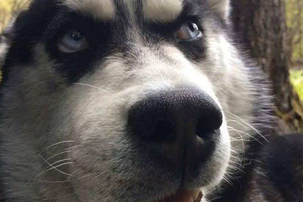 多:国?释放信号 减少对美元资产依赖