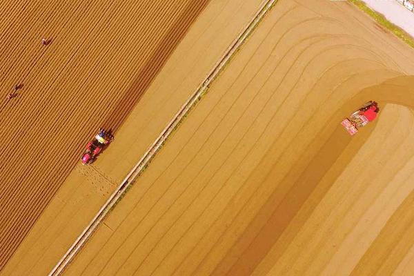 首届安徽省;期货服务人员综合技能竞赛圆满落幕