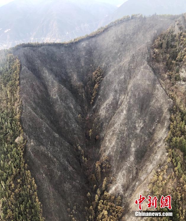 绿联6{5}w充;电器多设备快充，64元到手