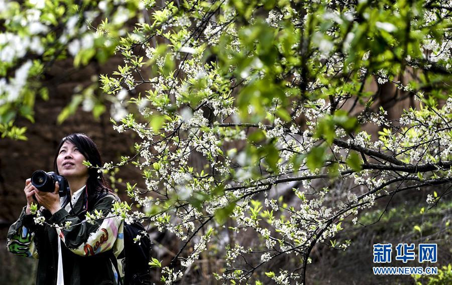 美联储‘米’兰：12月降息50个基点更为合适，至少也应降25个基点