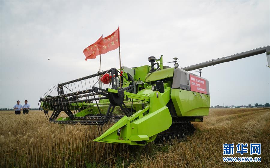 股价翻倍;，“游戏茅”还要涨多久？