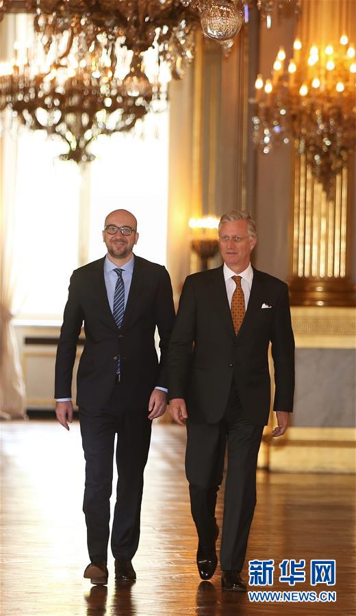 信达证券“:靠:行情吃饭”收入占比超七成 近五年只有一家ipo项目过会储备为0|券商半年报