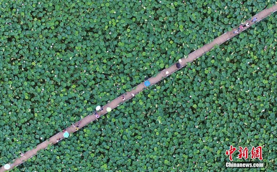 凌晨{！}美联储，重磅发布！