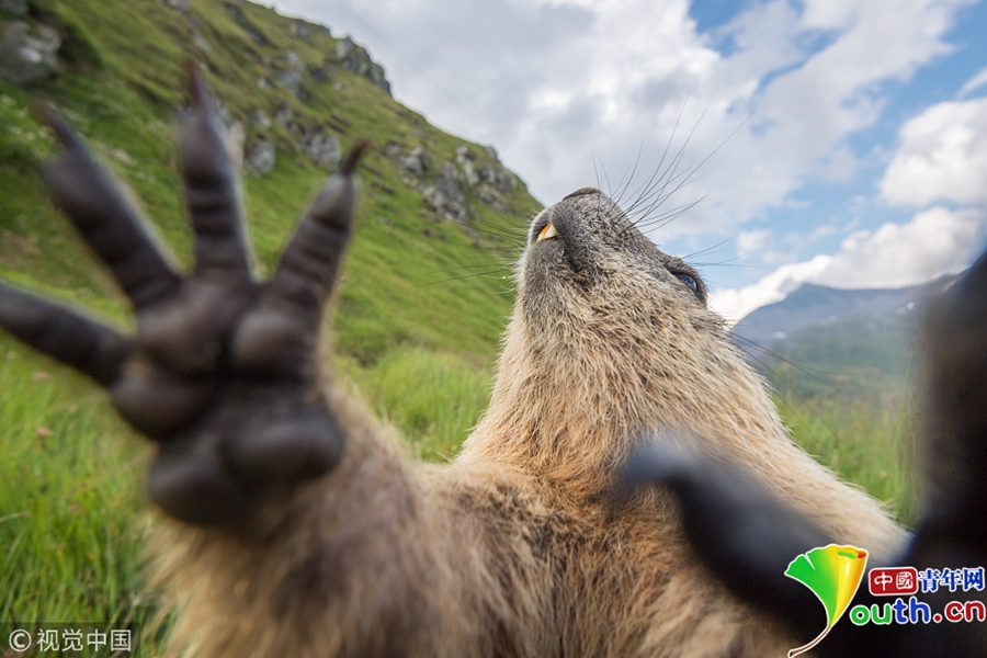 北陆药业：;无<逾>期担保