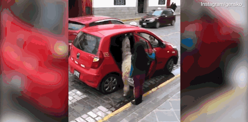 段永平罕{见}深度—访谈——11大核心投资理念